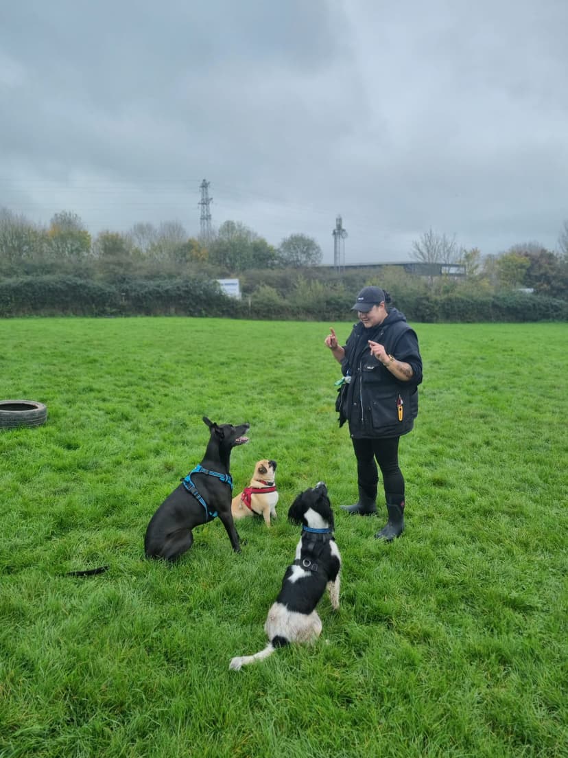 Walkies with Cammy - Jess with a group walk